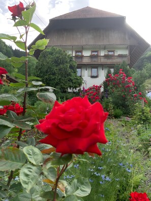 A traditional chalet with a balcony, surrounded by lush greenery and red flowers.