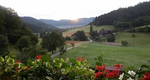 Miscellaneous - Apartment 'Mini' with Mountain View, Shared Garden and Wi-Fi (Seelbach)