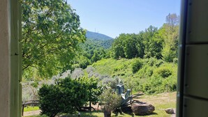 A view of a lush garden with a variety of trees and shrubs, a stone pathway, and a metal bench. - The House on the Mount - Euganean Hills Regional Park - (Veneto)