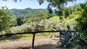 A view of a natural landscape with a wooden fence, trees, and a distant hill. - The House on the Mount - Euganean Hills Regional Park - (Veneto)