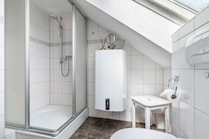 Shower, hair dryer, towels
