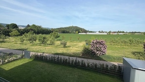 A grassy backyard with a stone wall, a metal fence, and a small shed. - LivingMe Cozy 3 rooms to relax in (Korntal-Münchingen)