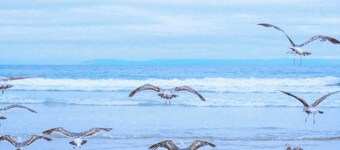 Escape the hustle and bustle and enjoy a romantic stay for two in Co's Duyne: a cozy studio on the old dunes of Callantsoog, fully equipped and within walking distance of beach, nature and cosiness.