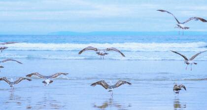 Escape the hustle and bustle and enjoy a romantic stay for two in Co's Duyne: a cozy studio on the old dunes of Callantsoog, fully equipped and within walking distance of beach, nature and cosiness.