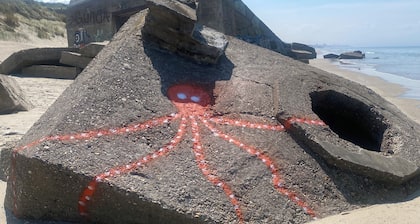 A louer ÂŽLâAppartâ Ă 2 pas de la plage de sable fin