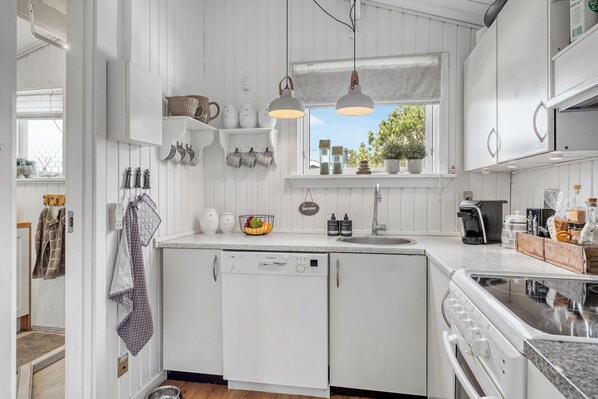 Kühlschrank, Ofen, Herdplatte, Geschirrspüler