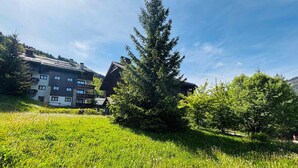 Property grounds - Charming 3-room apartment in Méribel Village with parking and WIFI (Méribel)