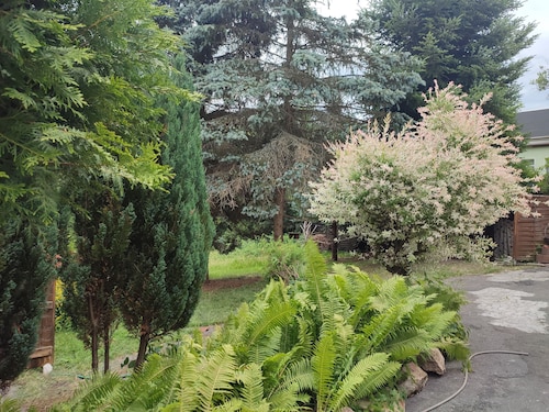 Ferien_Haus & Groß Grundstück in Bad Elster