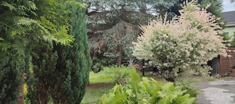 Ferien_Haus & Groß Grundstück in Bad Elster