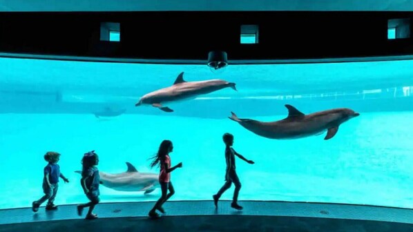 Pool - Perfect for Group! 2BR, 2BA with Pool! (CORP CHRISTI)