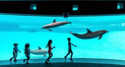 Perfect for Group! 2BR, 2BA with Pool!