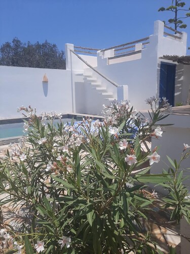 A corner of paradise, surrounded by a majestic olive grove, 5 minutes from the beach.