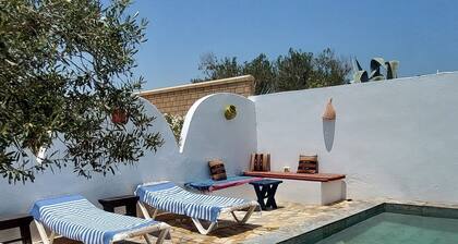 Un coin de paradis, entouré d'une oliveraie majestueuse à 5 mn de la plage