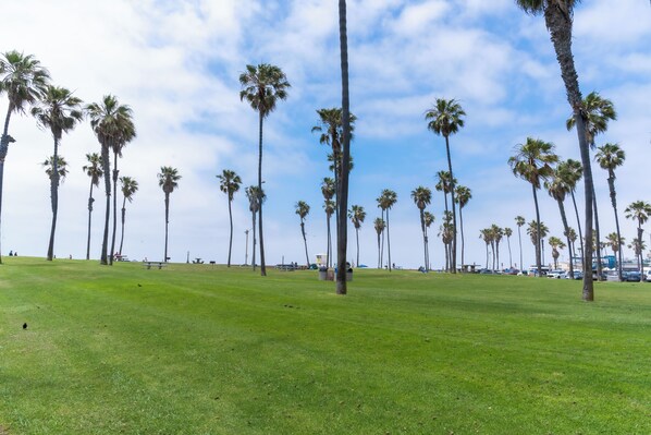 A grassy area with tall palm trees and a clear sky. - Ocean View! Fully Stocked Condo In Mission Beach, Sleeps 4, and Free Parking! (San Diego)