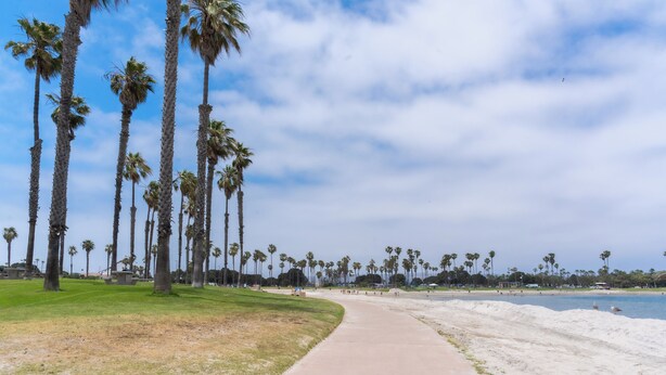 Ein Weg führt zu einem Strand mit Palmen und blauem Himmel.