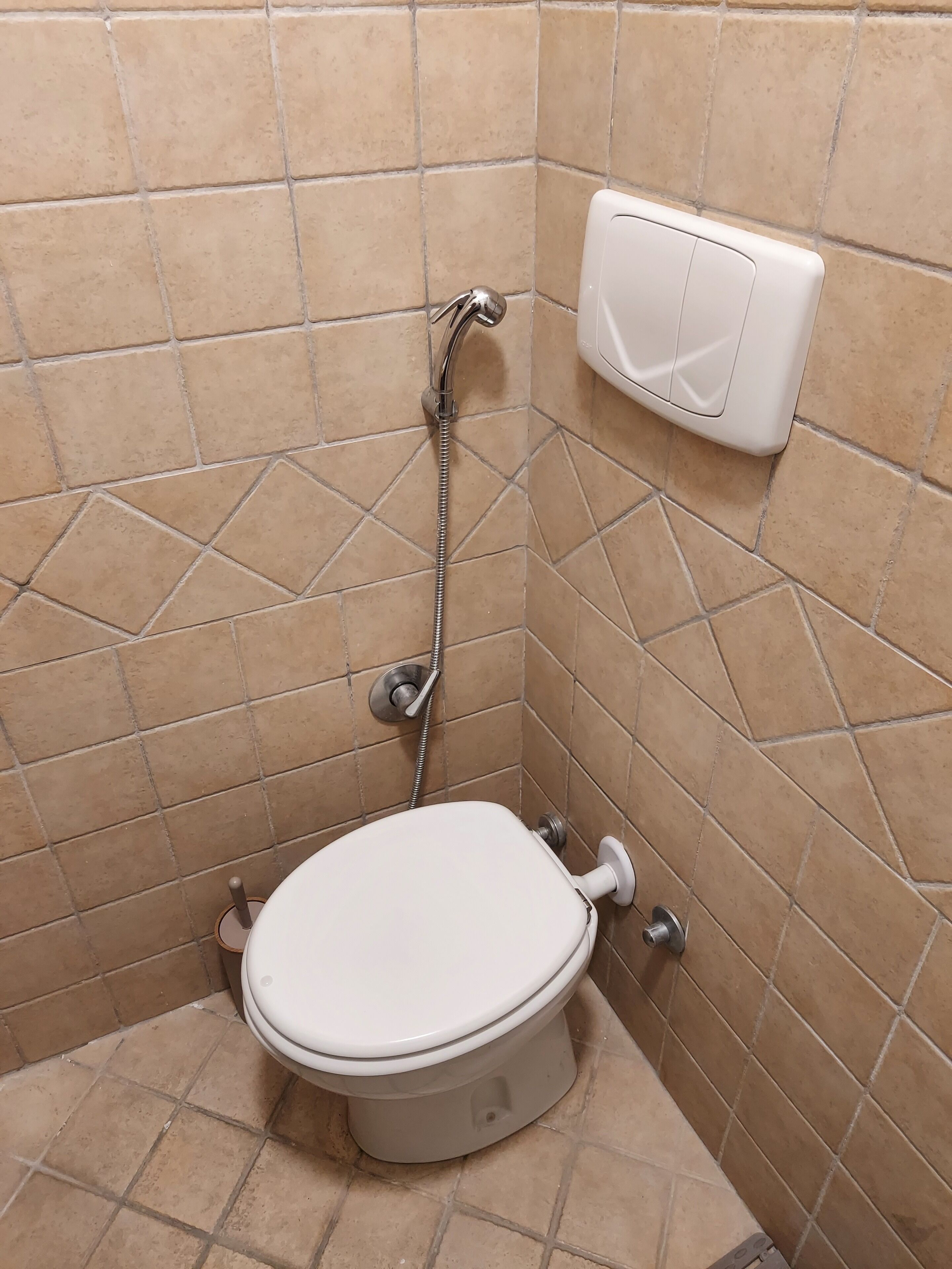 Et lille badeværelse med fliser, toilet, brusearmatur og toiletpapirholder.
