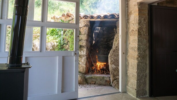 A stone fireplace with a fire, a white door, and a view of greenery outside.