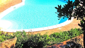 A large, clear blue swimming pool surrounded by a wooden deck and lush greenery.