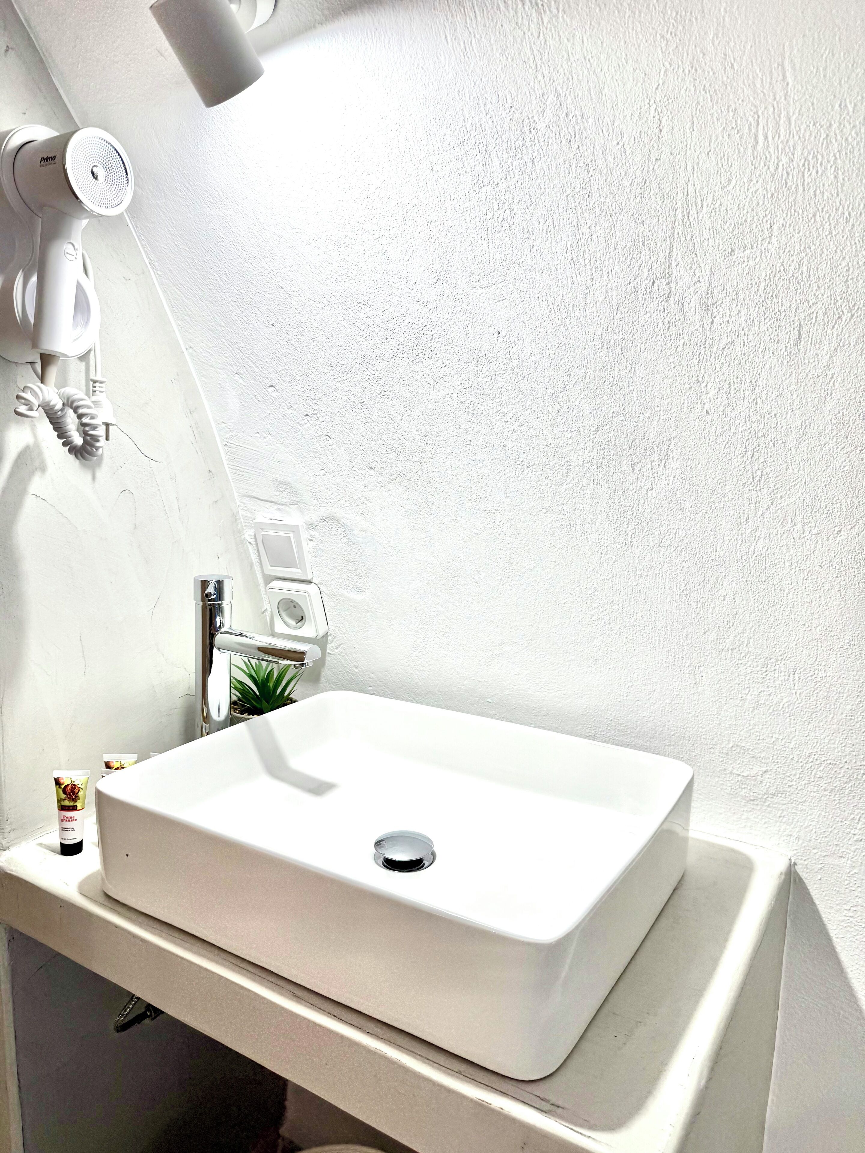Un bagno con un lavandino bianco, uno specchio, un portasciugamani e una piccola pianta in vaso.