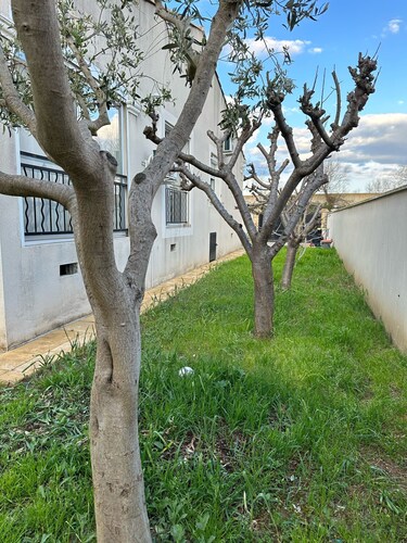 Furnished air-conditioned house 130 M2 on fenced 400m2- Le Grau-du-Roi