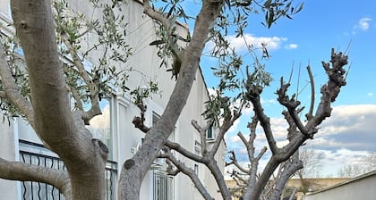 Maison meublée climatisée de 130 M2 sur terrain clÎturé de 400m2- Le Grau-du-Roi