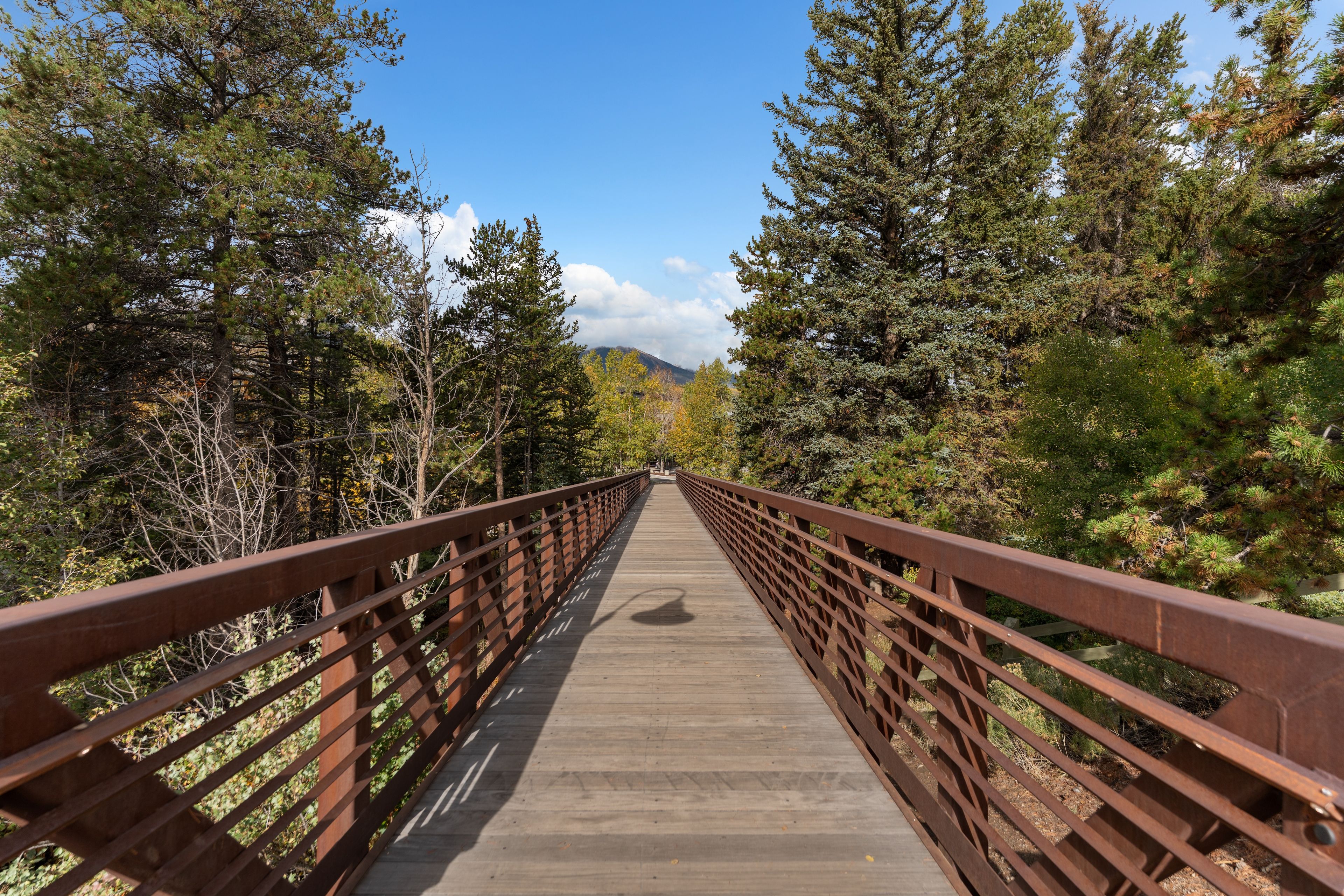 A wooden pedestrian bridge with metal railings, surrounded by dense coniferous forest.