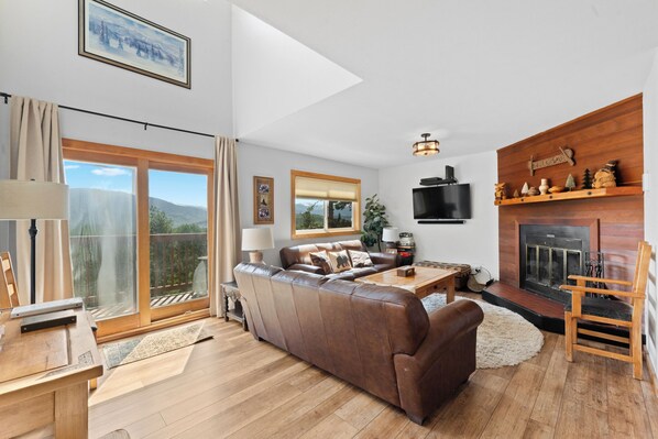 TV, fireplace, books