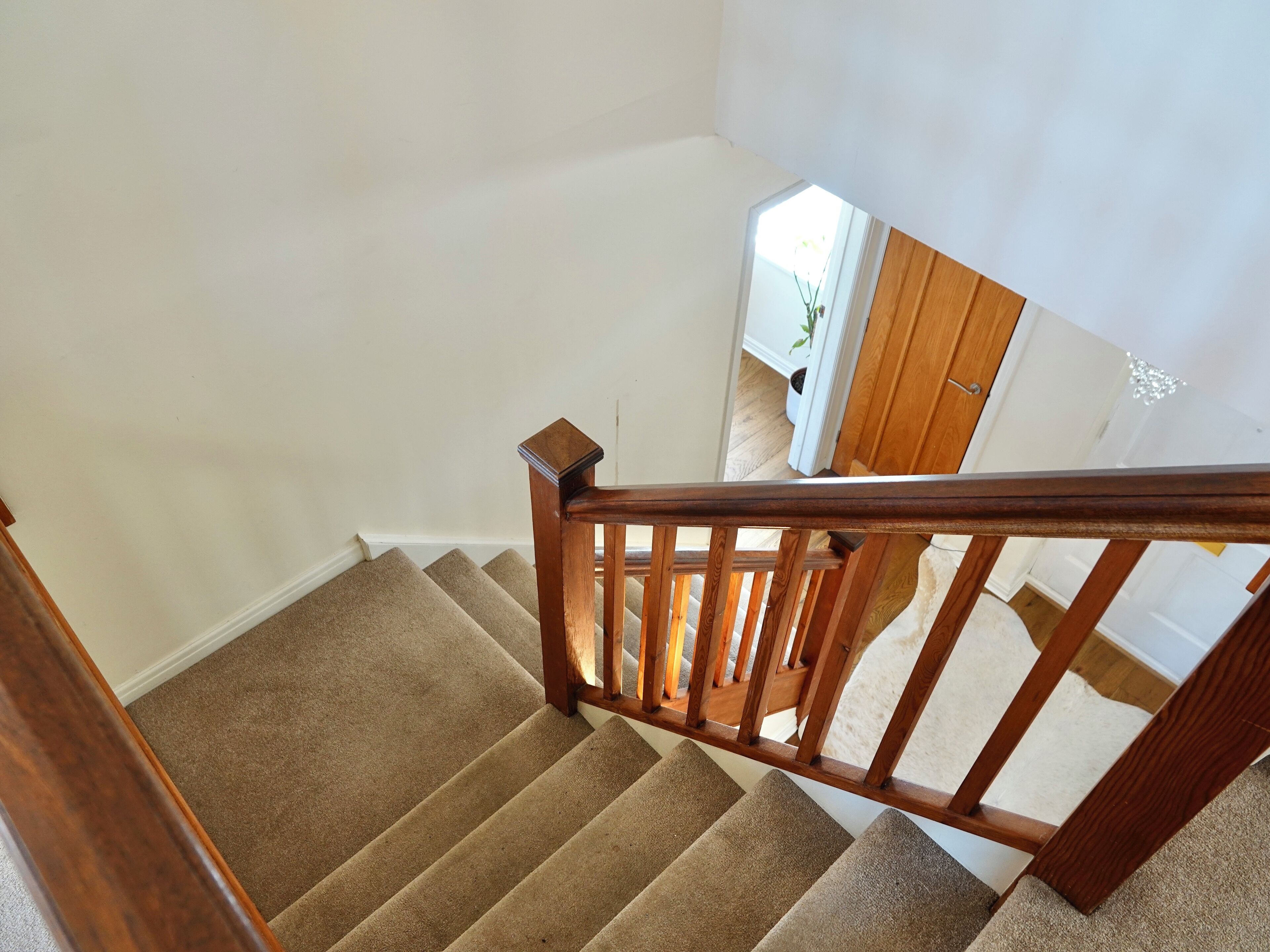 Un escalier recouvert de moquette, avec des rampes en bois et un mur blanc.