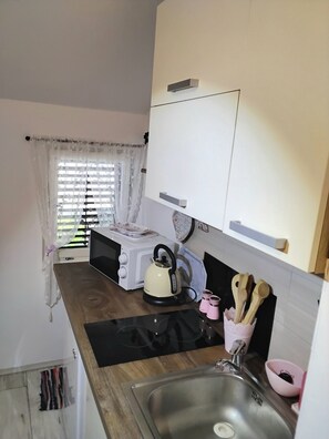 Fridge, microwave, stovetop, electric kettle