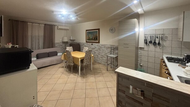 A compact living space with a dining area, kitchenette, and a sofa.