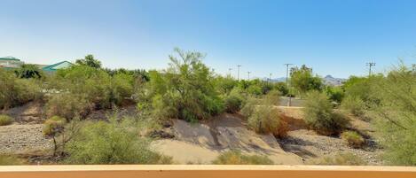 A desert landscape with sparse vegetation, a dirt road, and distant mountains.