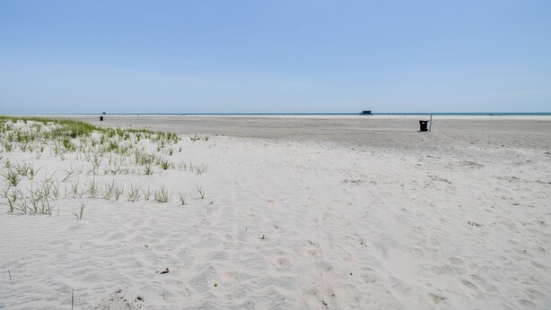 A wide sandy beach with sparse vegetation and a clear sky. - Walk to Brigantine Beach: Condo w/ Furnished Patio (Brigantine)
