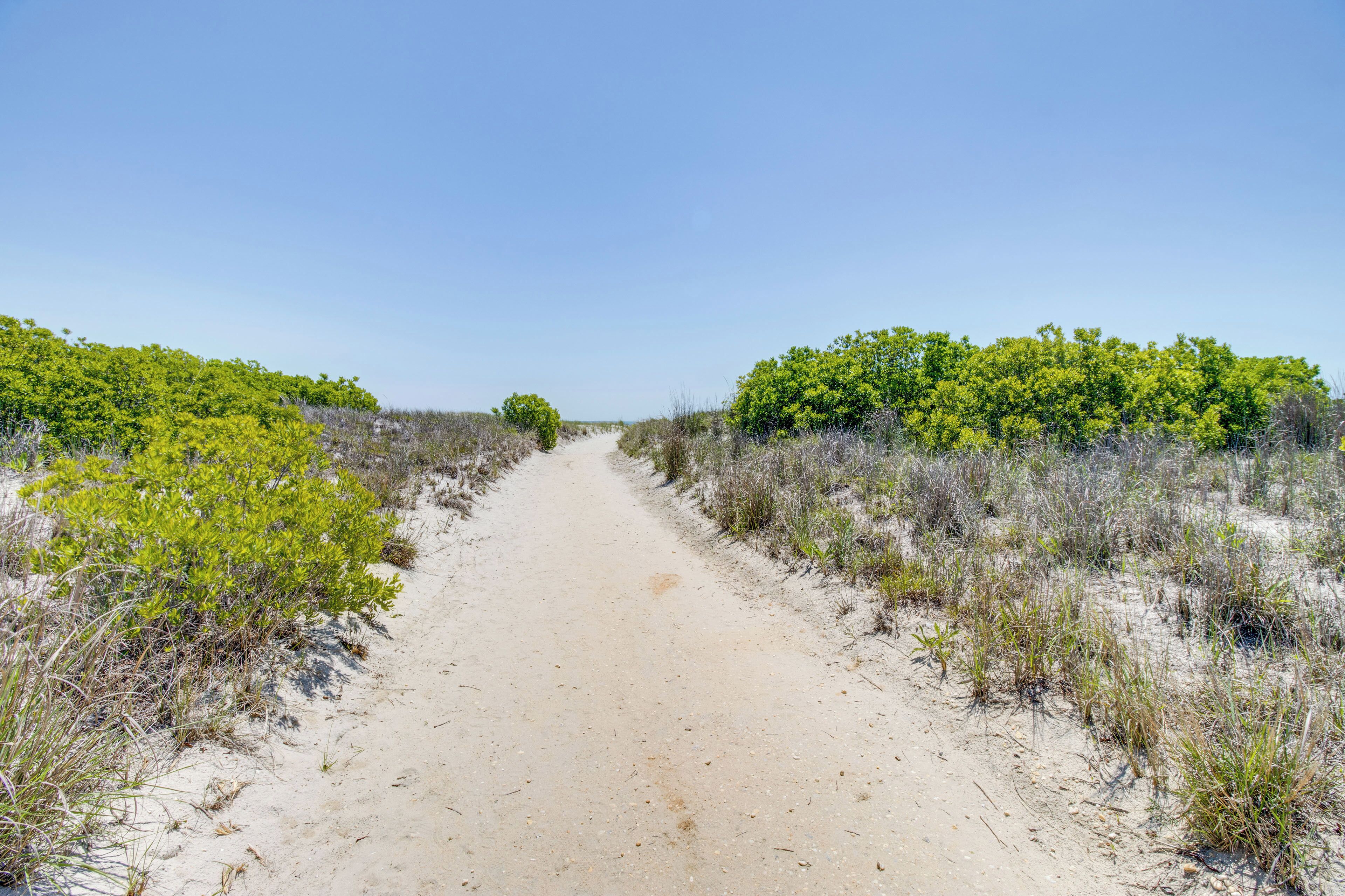 A sandy path flanked by dense green shrubbery, leading into a clear blue sky.