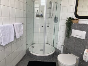 Shower, hair dryer, bidet, towels