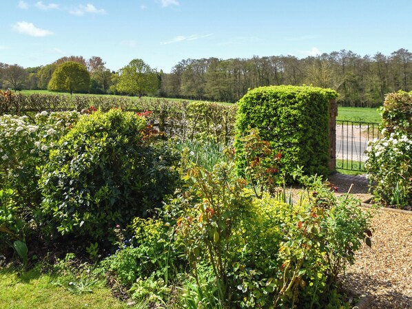 A garden with various plants and a neatly trimmed hedge.