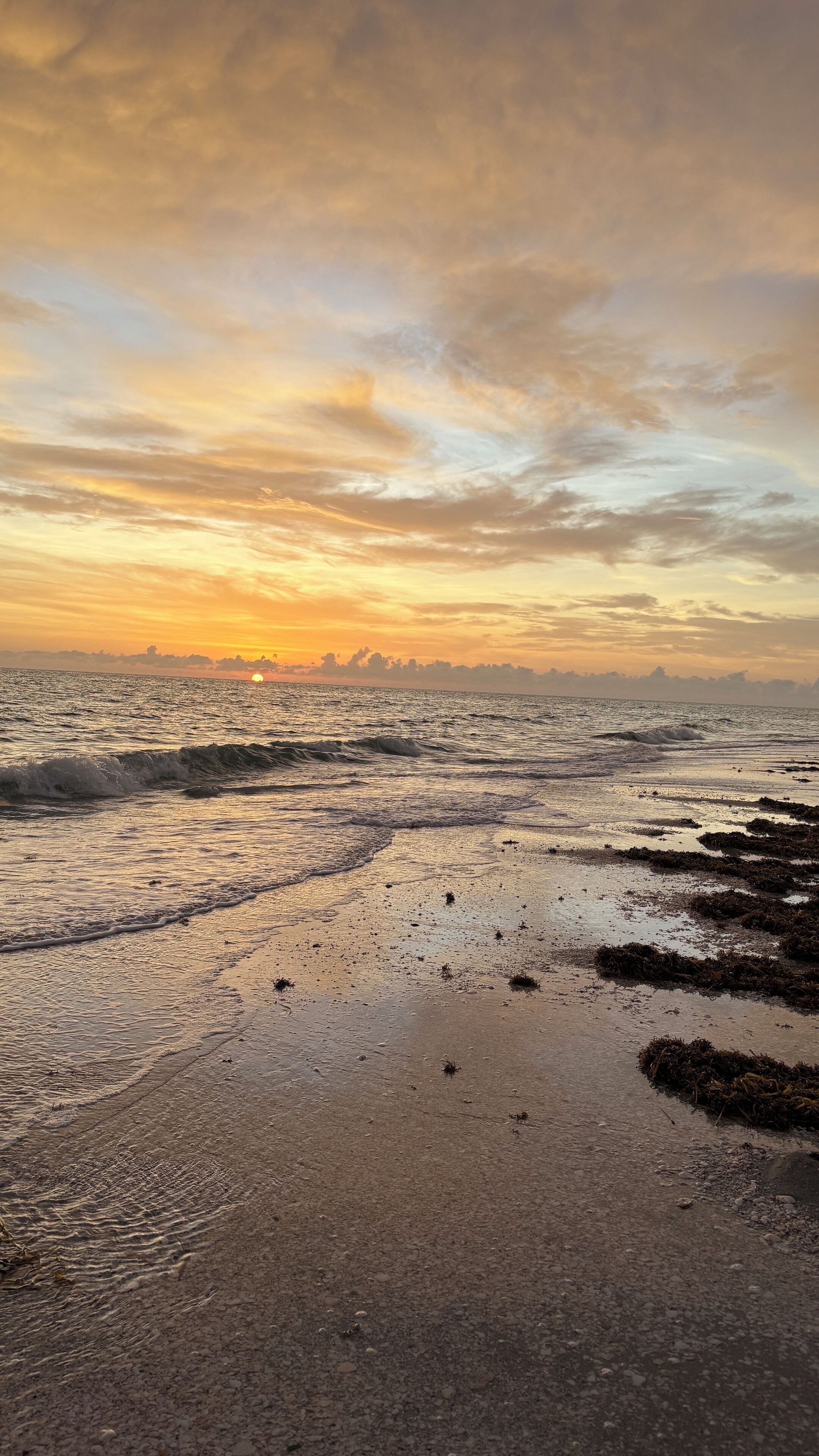 Chaises longues, serviettes de plage