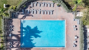 An aerial view of a swimming pool surrounded by lounge chairs and palm trees. - Landing | Stunning 3BD, Pool (Homestead)