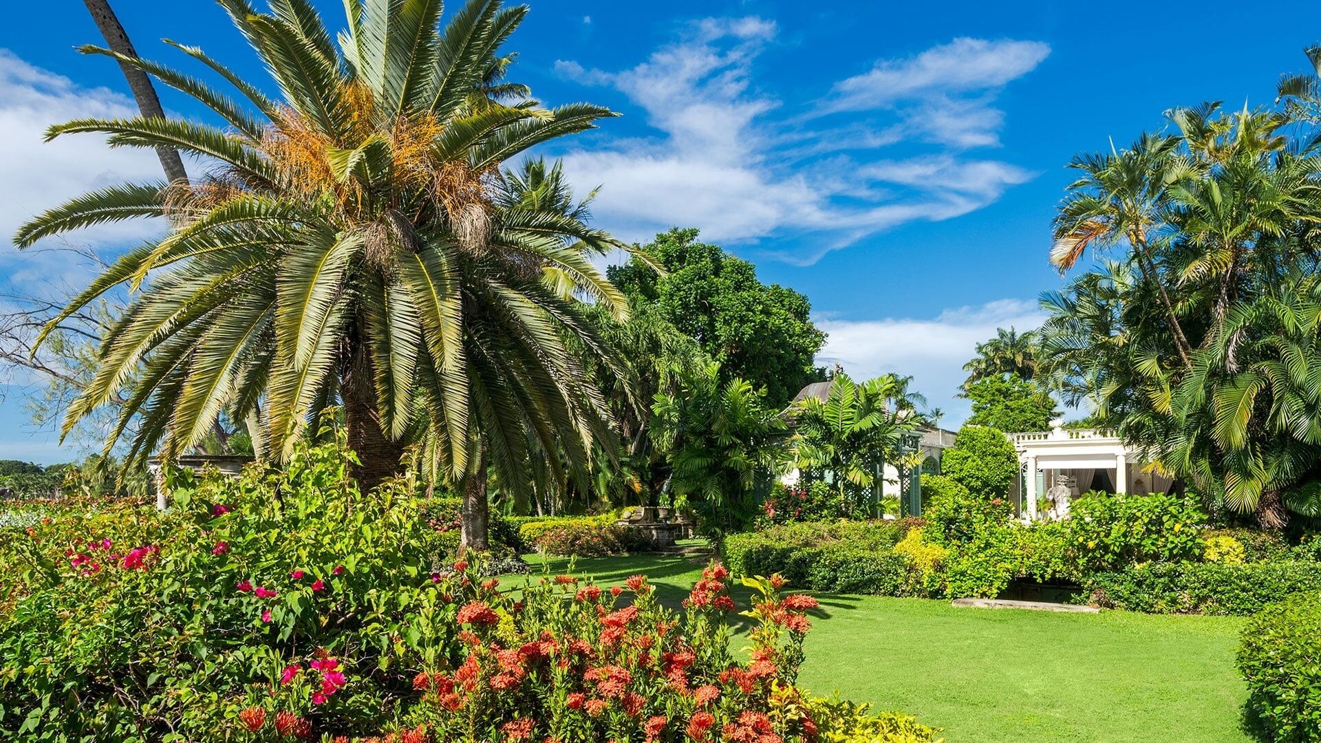 Un exuberante jardín con palmeras, un césped impecable y un gazebo blanco.