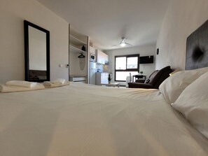 1 chambre, fer et planche à repasser