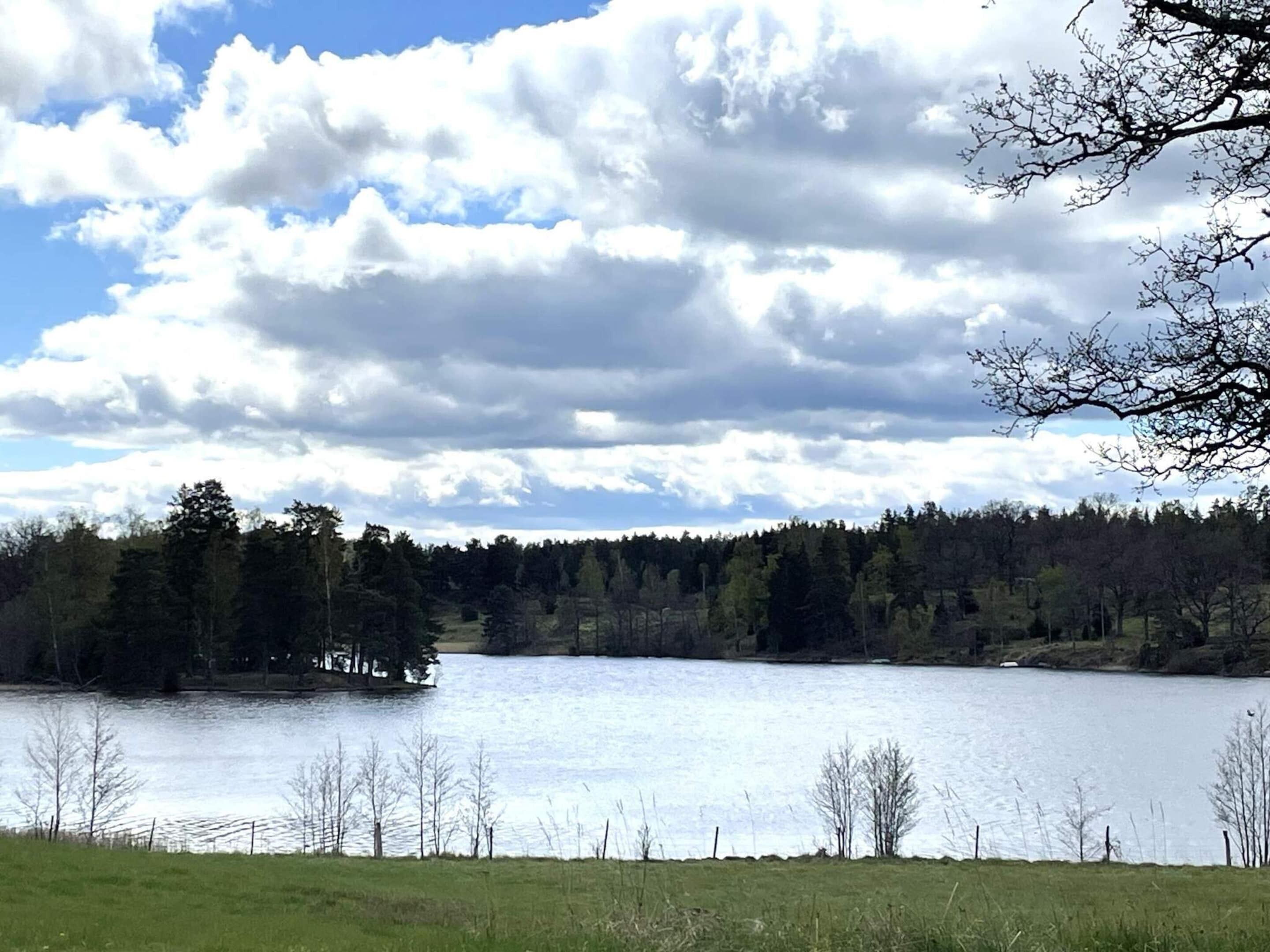 A lake surrounded by trees and a grassy area.
