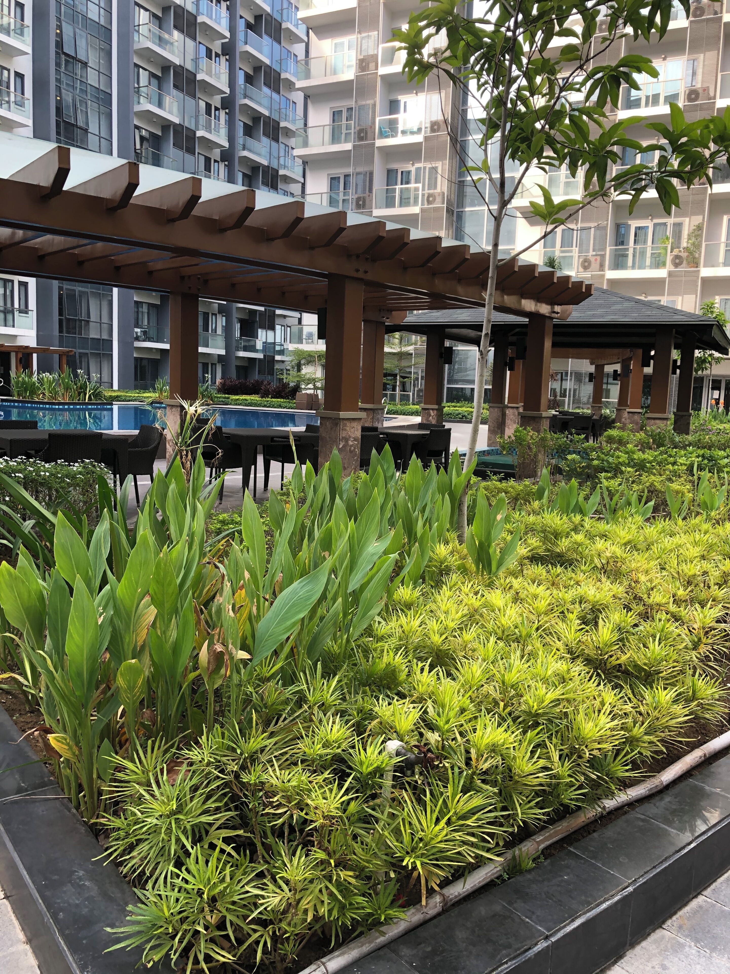 Jardines del alojamiento