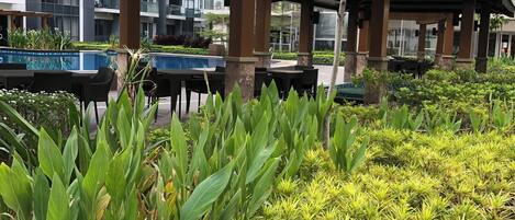 Jardines del alojamiento