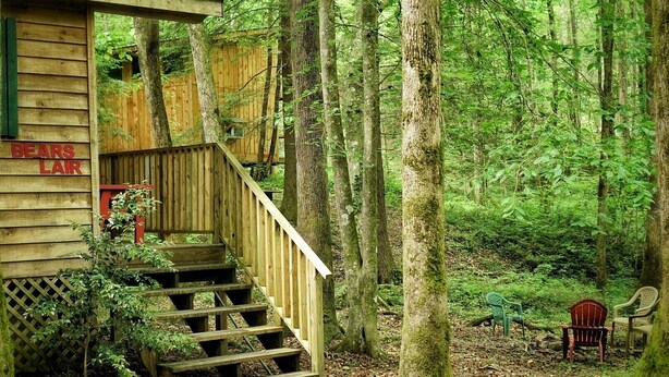 A wooden cabin with a staircase leading to a deck, surrounded by a dense forest.