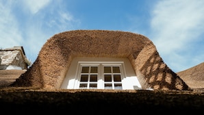 A building with a thatched roof and a white window.