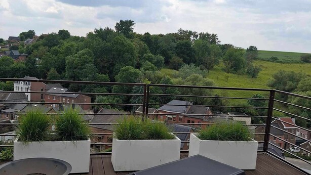 Une terrasse en bois avec une table et des chaises, des plantes en pot et une vue sur un quartier résidentiel.