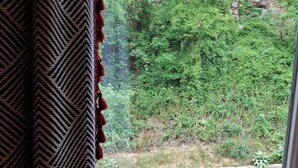Une vue par la fenêtre sur un mur de pierre et une végétation luxuriante, avec un rideau à motifs partiellement visible.