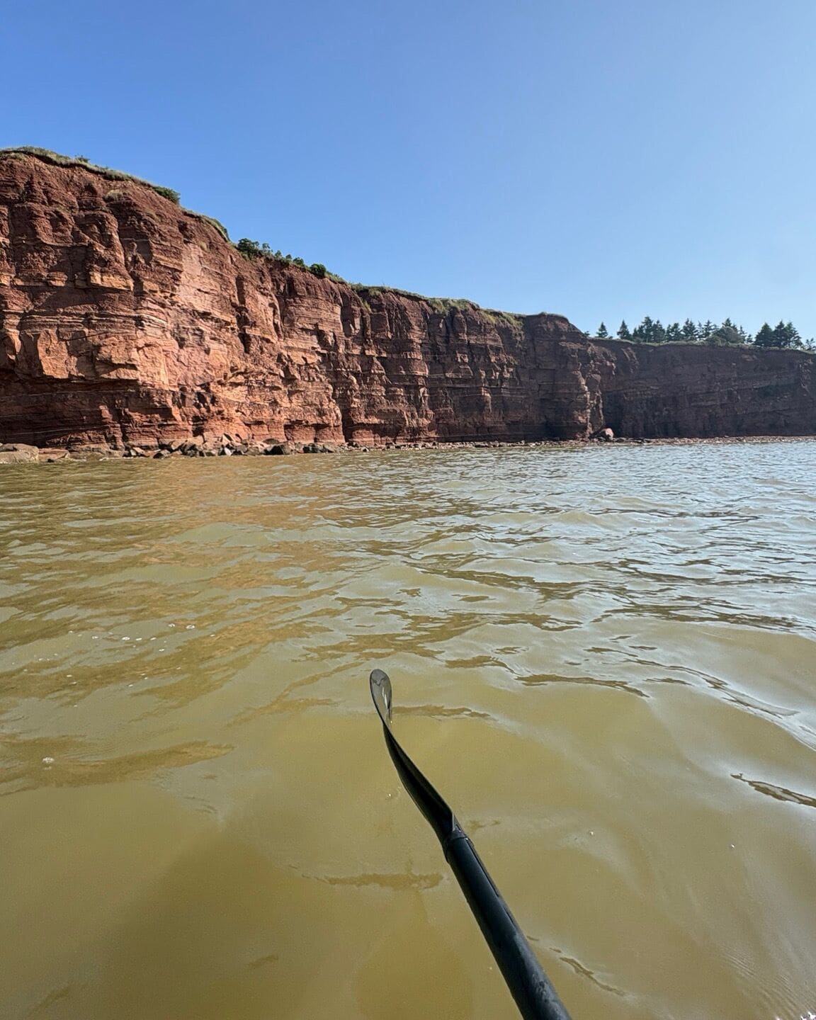 Ein Fluss mit einer felsigen Klippe und einem Paddel im Vordergrund.