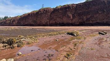 A coastal landscape with a rocky cliff and a flat, muddy area with seaweed.