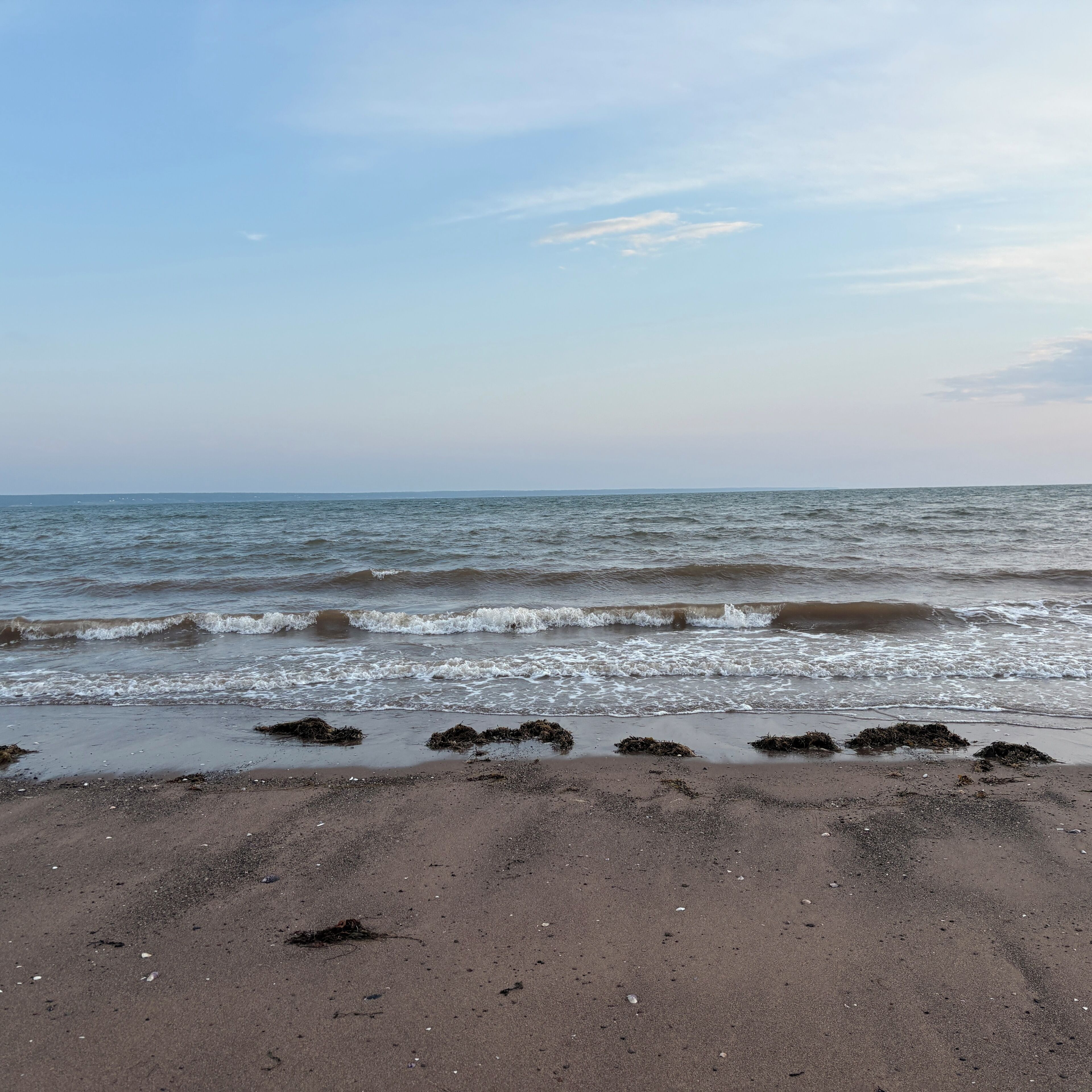 Vlak bij het strand, strandlakens