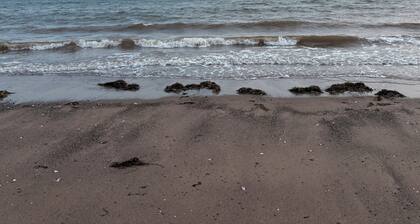 Nova Scotia Coastal Escape
A refined year round 2 bedroom cottage by the sea